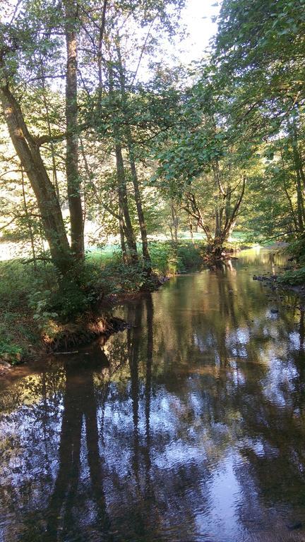 Ferienwohnung Sayntalblick Caan Buitenkant foto