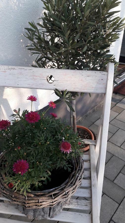 Ferienwohnung Sayntalblick Caan Buitenkant foto
