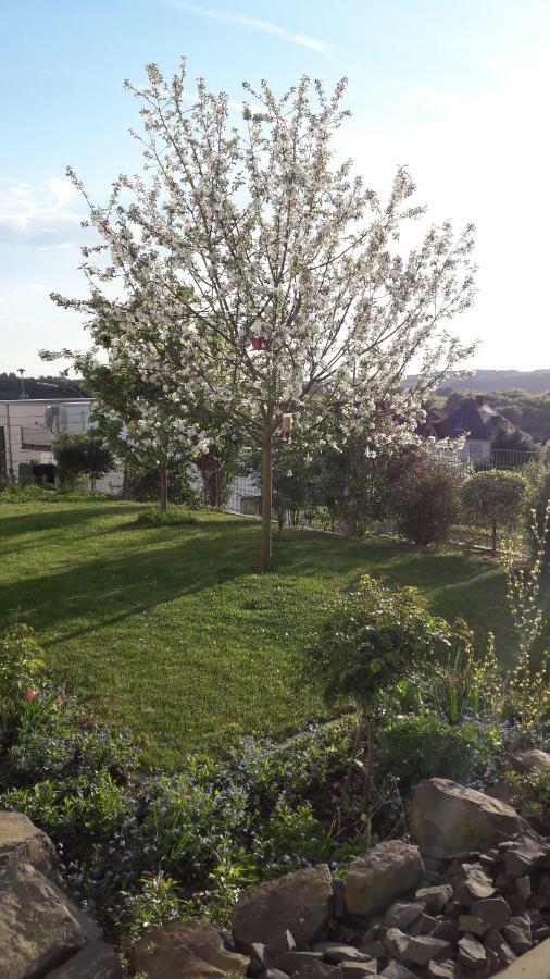Ferienwohnung Sayntalblick Caan Buitenkant foto
