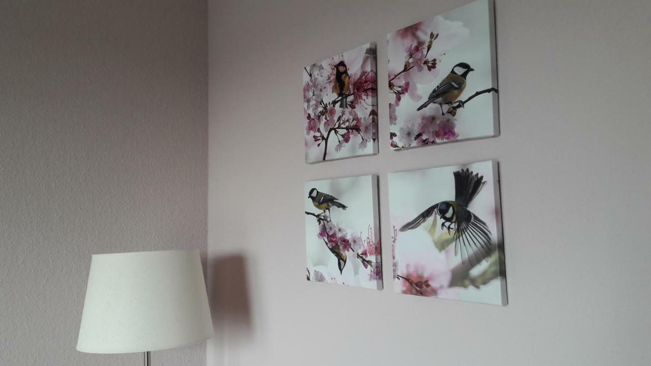 Ferienwohnung Sayntalblick Caan Buitenkant foto
